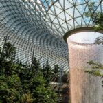 Green-leafed Plants Inside Greenhouse